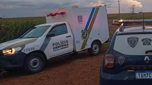 Vitara capota em plantação de milho e motorista morre ao ser ejetado Vitara capota em plantação de milho e motorista morre ao ser ejetado