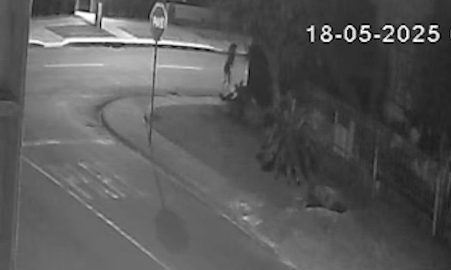 Vídeo mostra mulher dando 36 golpes com paver para matar Cícero Anselmo