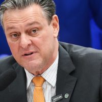 Imagem referente a Gripe aviária não deve impactar preço da carne de frango, diz ministro