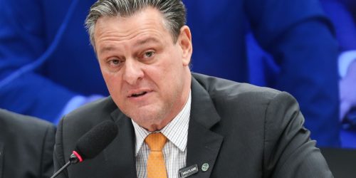 Gripe aviária não deve impactar preço da carne de frango, diz ministro Imagem referente a Gripe aviária não deve impactar preço da carne de frango, diz ministro