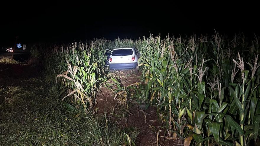 BPRv apreende 17 quilos de maconha durante fiscalização em Jaguapitã