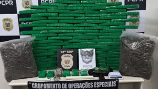 PCPR e GM prendem homem em flagrante com quase 100 quilos de drogas em Ponta Grossa