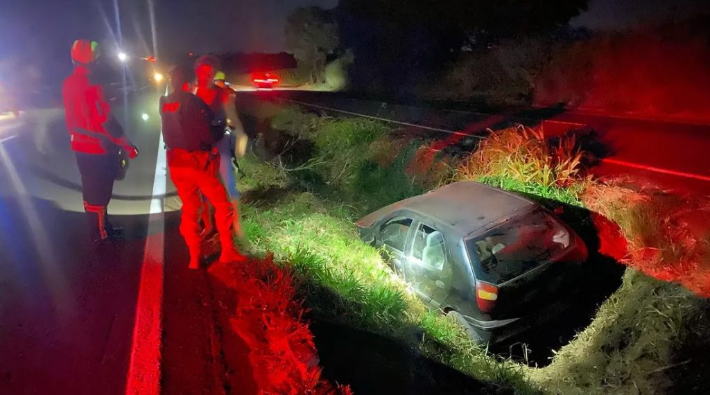 Carro com cão Pitbull e 10kg de peixes sai da pista na BR-376 em Apucarana Carro com cão Pitbull e 10kg de peixes sai da pista na BR-376 em Apucarana