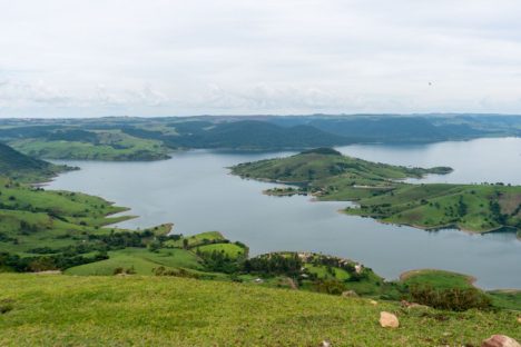 Modelo Carlópolis: 75% dos municípios do Paraná ampliaram a área de mata nos últimos anos