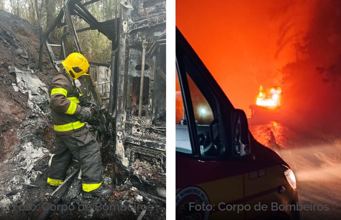 Caminhão carregado com porcos tomba e condutor morre carbonizado na BR-282
