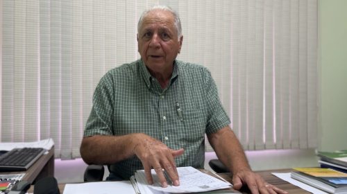Gripe aviária afeta exportações e pode fazer o preço do frango cair em Cascavel