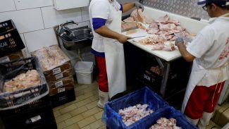 Prazo de 28 dias para Brasil ficar livre da gripe aviária começa hoje