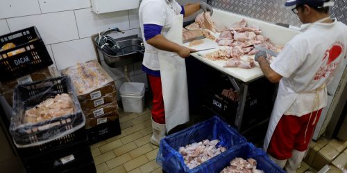 Prazo de 28 dias para Brasil ficar livre da gripe aviária começa hoje Imagem referente a Prazo de 28 dias para Brasil ficar livre da gripe aviária começa hoje