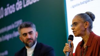 COP 30 deve ser encontro de implementação, diz Marina Silva
