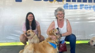 Cãominhada da PPPR é prorrogada para 7 de junho; inscrições são prolongadas