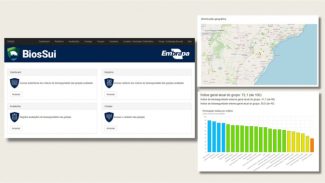 Nova plataforma reforçará biosseguridade em granjas de suínos no Paraná