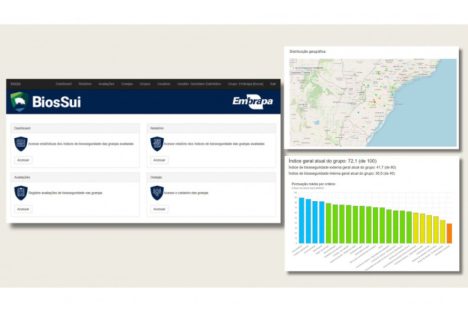Nova plataforma reforçará biosseguridade em granjas de suínos no Paraná Imagem referente a Nova plataforma reforçará biosseguridade em granjas de suínos no Paraná