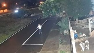 Polícia Civil pede que pais do menino que gritou por socorro na PRc-467 compareçam ao Nucria
