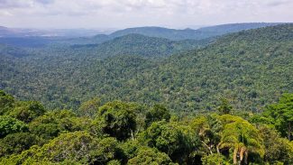 Instituto lança edital para projetos que protejam a Amazônia