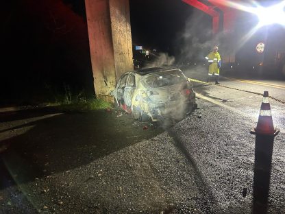 Carro colide com viaduto e pega fogo, condutor morre na BR-277