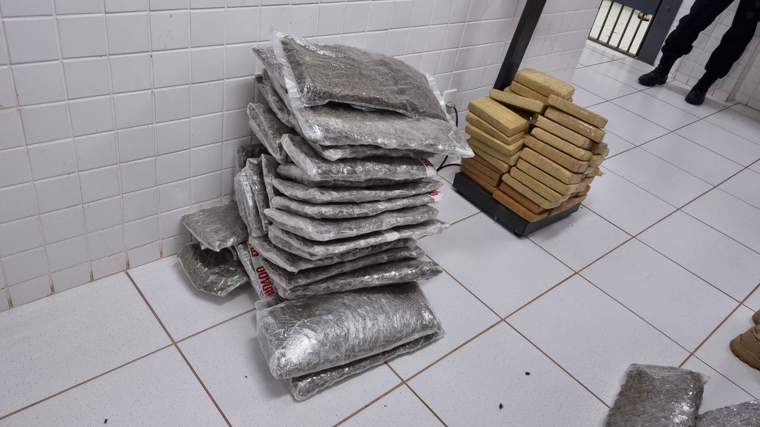 Homem tenta fugir da PRF mas é preso com mais de 50 kg de maconha