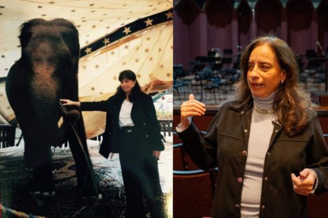 De elefanta a pilha de currículos para a escolha do 1º maestro: os causos da Orquestra Sinfônica