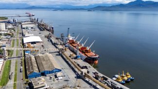 Em parceria com a Valenciaport, Portos do Paraná prepara Plano de Descarbonização