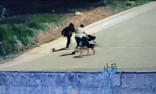 Imagens fortes: Vídeo mostra adolescente matando Jackson Luis Ferreira de Quadros a facadas Imagem referente a Imagens fortes: Vídeo mostra adolescente matando Jackson Luis Ferreira de Quadros a facadas