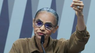 Fala desrespeitosa de senador leva Marina Silva a deixar audiência