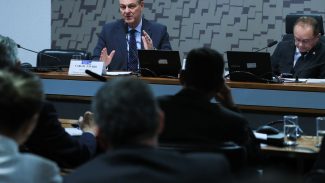Ministro da Agricultura anuncia que foco de gripe aviária está contido