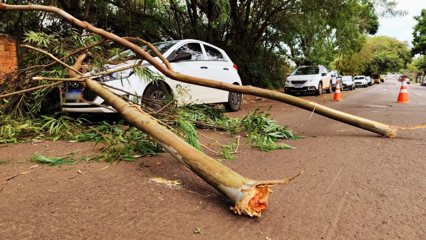 Vento começa a mostrar sua força em Cascavel e HB20 leva a pior