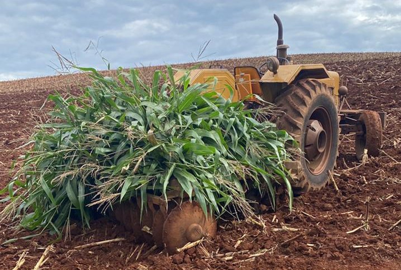 Tragédia no campo: idoso é atropelado por trator e morre em Ibiporã do Oeste Tragédia no campo: idoso é atropelado por trator e morre em Ibiporã do Oeste