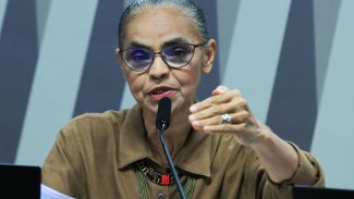 Lula e Marina Silva conversam sobre ataques em comissão do Senado