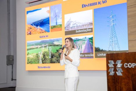 Imagem referente a Copel e IAT fazem alinhamento técnico para analisar processos de licenciamento ambiental