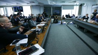 CCJ do Senado suspende demarcação de terras indígenas em SC