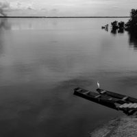 Imagem referente a Mostra de Vilma Slomp com foco na Amazônia abre em 4 de junho do Espaço Cultural BRDE