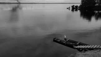 Mostra de Vilma Slomp com foco na Amazônia abre em 4 de junho do Espaço Cultural BRDE