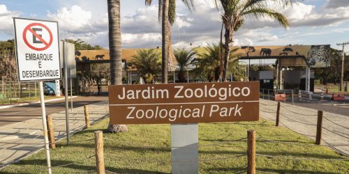 Zoológico de Brasília é fechado após suspeita de gripe aviária Imagem referente a Zoológico de Brasília é fechado após suspeita de gripe aviária