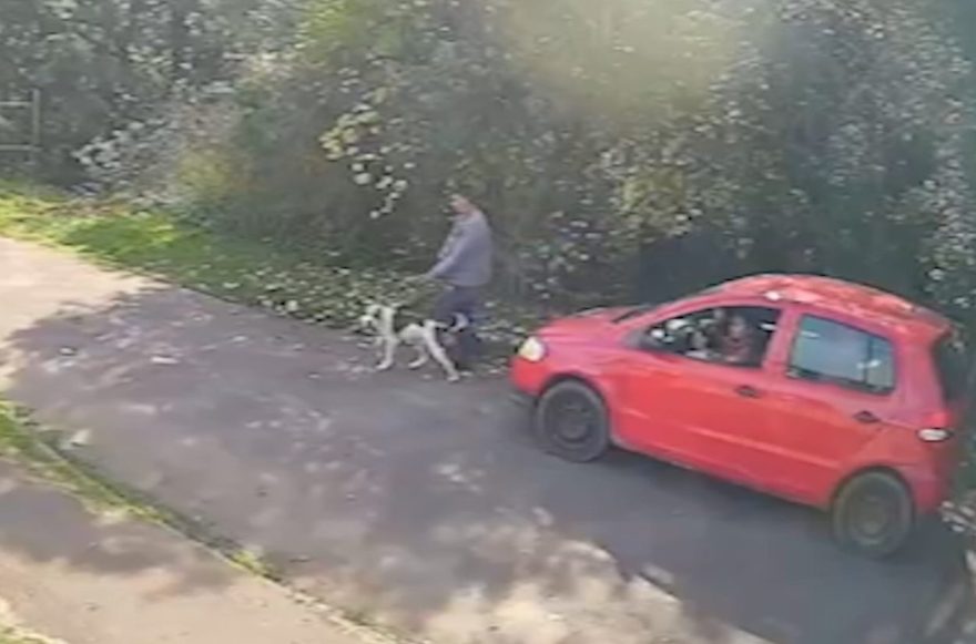 Crueldade: Câmera flagra casal abandonando cachorro e animal correndo atrás do veículo