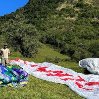 Imagem referente a Balões caem em parque do Rio e são apreendidos; prática é crime