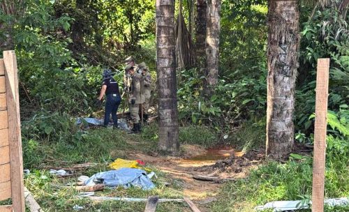 Crime brutal: Jovens são mortos a marteladas; vítimas foram decapitadas e tiveram o coração arrancado Imagem referente a Crime brutal: Jovens são mortos a marteladas; vítimas foram decapitadas e tiveram o coração arrancado