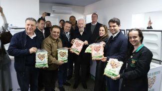 Estado moderniza Banco de Alimentos da Ceasa Cascavel e anuncia revitalização da unidade