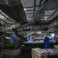 Imagem referente a Atividade econômica puxa crescimento do mercado de energia elétrica no Paraná