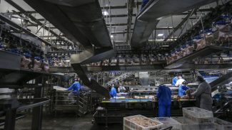 Atividade econômica puxa crescimento do mercado de energia elétrica no Paraná