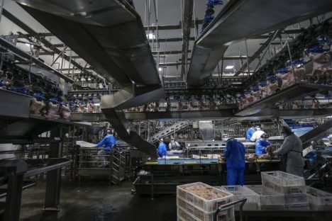 Atividade econômica puxa crescimento do mercado de energia elétrica no Paraná Imagem referente a Atividade econômica puxa crescimento do mercado de energia elétrica no Paraná