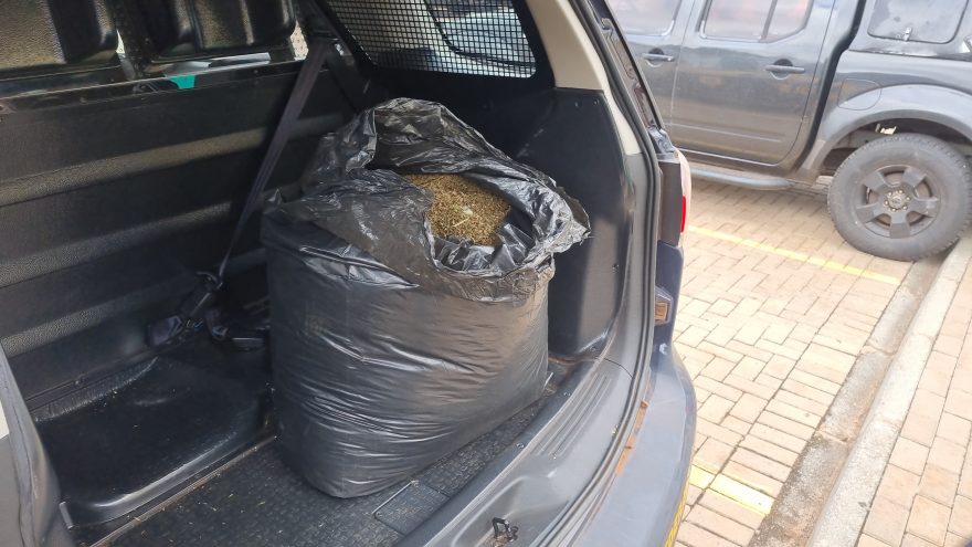 Pacote com cerca de 10 quilos de maconha é encontrado às margens da BR-277, em Cascavel