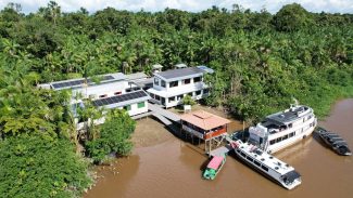 Agroindústria beneficia bioativos com energia limpa na Ilha do Marajó