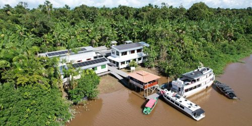 Agroindústria beneficia bioativos com energia limpa na Ilha do Marajó Imagem referente a Agroindústria beneficia bioativos com energia limpa na Ilha do Marajó