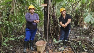 Mulheres extrativistas enfrentam preconceito e geram renda na Amazônia