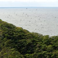 Imagem referente a Semana do Meio Ambiente: 5 motivos que fazem do Paraná o estado mais sustentável do País