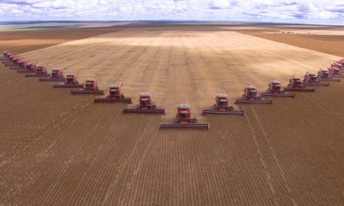 O PIB cresceu, mas quem carrega o Brasil nas costas é quem a esquerda mais odeia O PIB cresceu, mas quem carrega o Brasil nas costas é quem a esquerda mais odeia