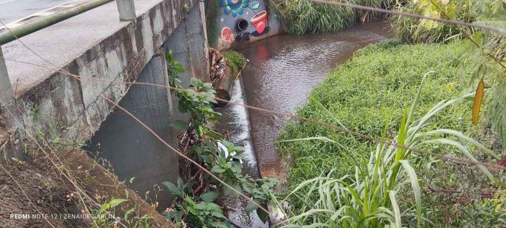 Descaso ambiental: Rio Bezerra sofre com lixo e vegetação descontrolada