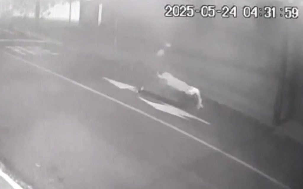 Crime brutal! Vídeo mostra corpo de vítima de homicídio sendo levado em carriola no Paraná