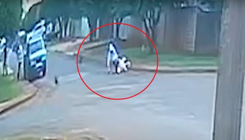 Vídeo: Cachorro caramelo derruba motociclista e Samu é mobilizado em Goioerê 
