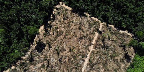 Florestas públicas não destinadas são ameaçadas por crimes ambientais Imagem referente a Florestas públicas não destinadas são ameaçadas por crimes ambientais